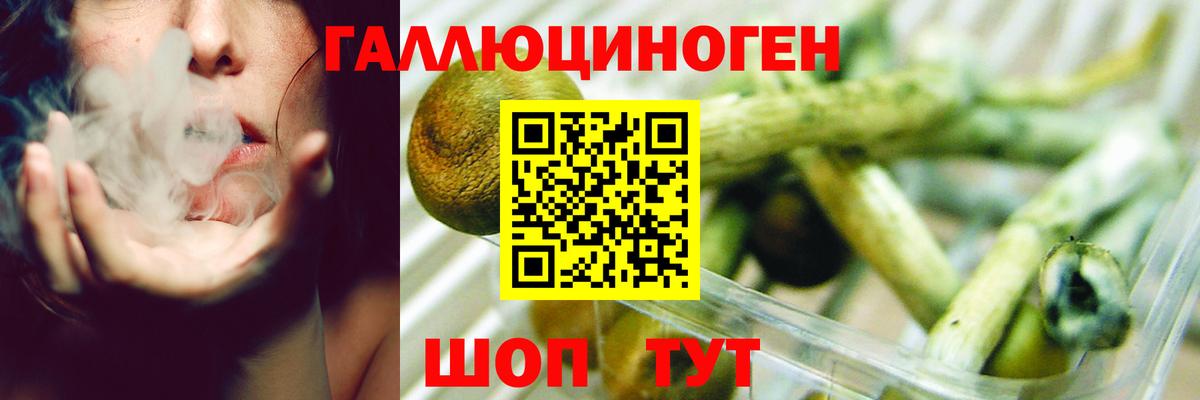 Галлюциногенные грибы Cubensis  Вход с VPN  Старый Оскол 